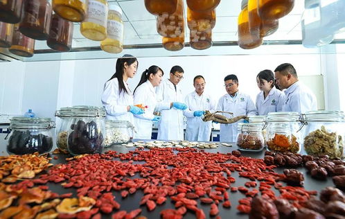 科技賦能，張掖植物工廠助力農(nóng)特產(chǎn)品提質(zhì)增效